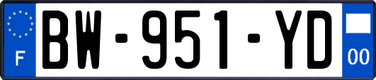 BW-951-YD