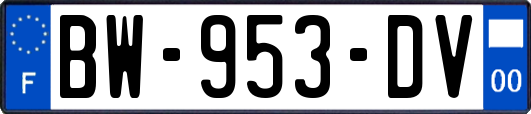 BW-953-DV