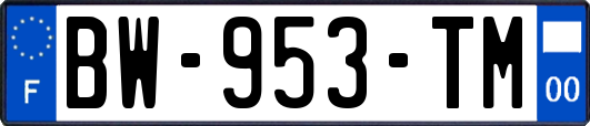 BW-953-TM