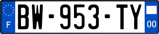 BW-953-TY