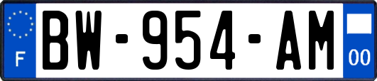 BW-954-AM