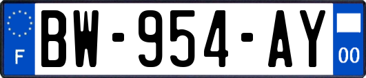 BW-954-AY