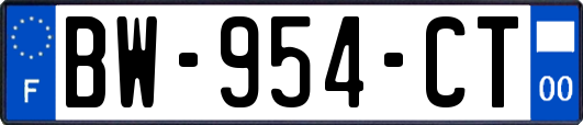 BW-954-CT