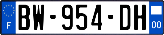 BW-954-DH