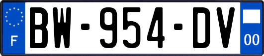 BW-954-DV