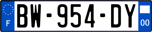 BW-954-DY