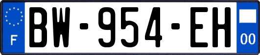 BW-954-EH