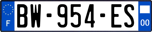 BW-954-ES