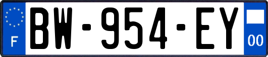 BW-954-EY