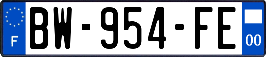 BW-954-FE