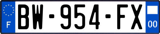 BW-954-FX