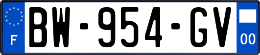 BW-954-GV