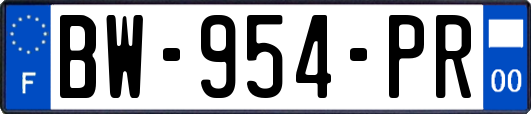 BW-954-PR