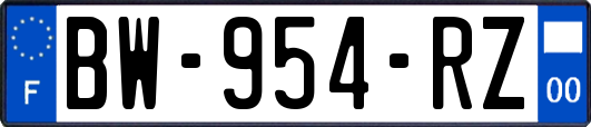 BW-954-RZ