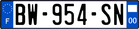 BW-954-SN