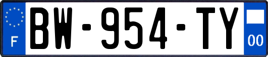 BW-954-TY