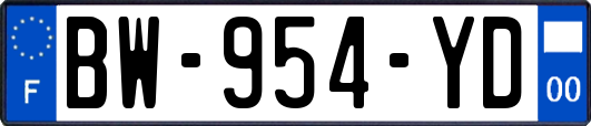 BW-954-YD