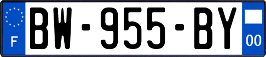 BW-955-BY