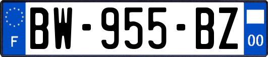 BW-955-BZ