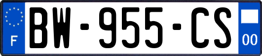 BW-955-CS