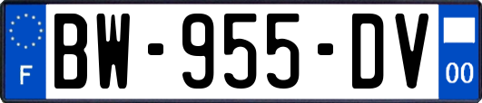 BW-955-DV