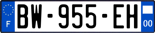 BW-955-EH