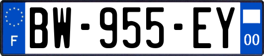 BW-955-EY