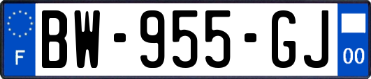 BW-955-GJ