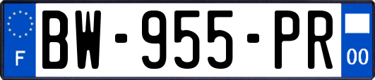 BW-955-PR