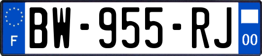 BW-955-RJ