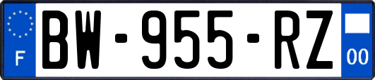 BW-955-RZ