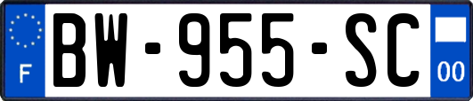 BW-955-SC