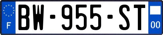 BW-955-ST