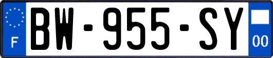 BW-955-SY