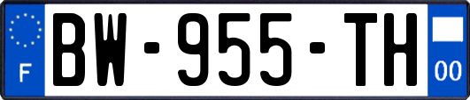 BW-955-TH