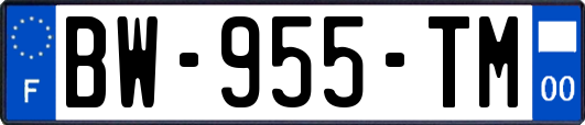 BW-955-TM