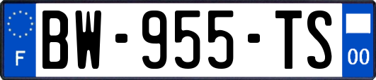 BW-955-TS