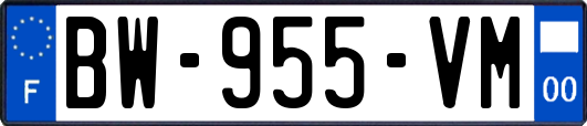 BW-955-VM