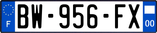 BW-956-FX