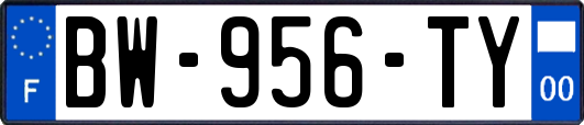 BW-956-TY