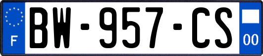 BW-957-CS