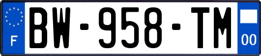 BW-958-TM