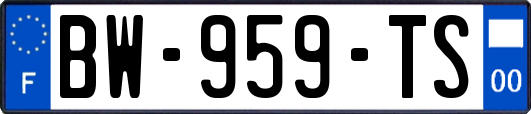 BW-959-TS