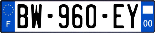 BW-960-EY