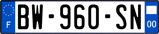BW-960-SN