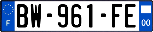 BW-961-FE