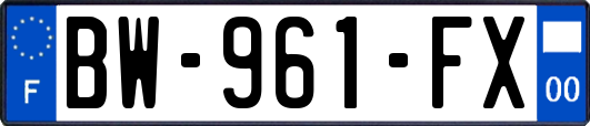 BW-961-FX