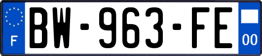 BW-963-FE