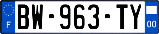 BW-963-TY