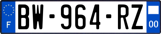 BW-964-RZ